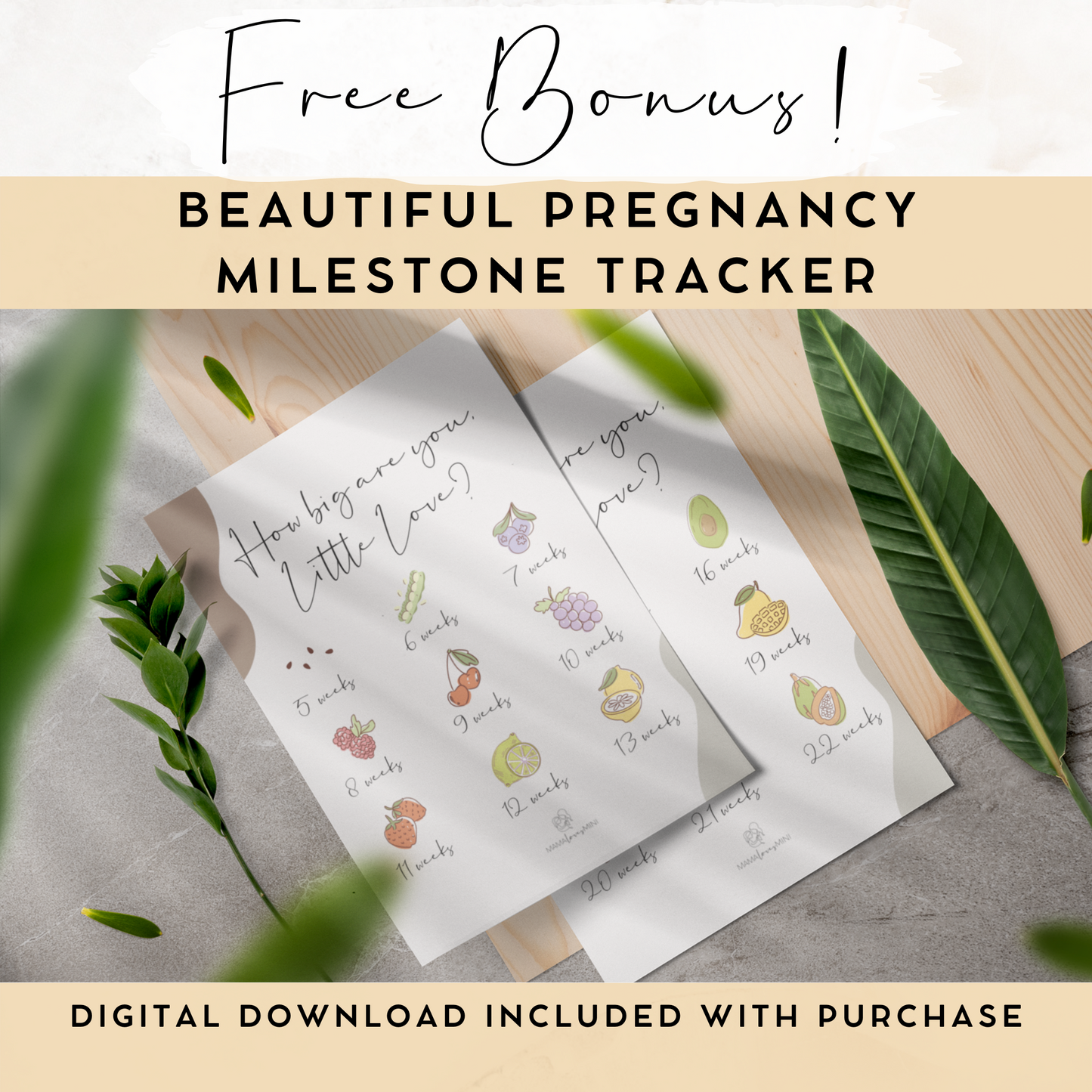 Ultrasound Picture Frames